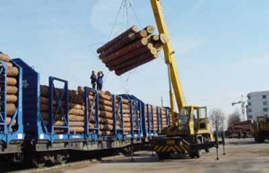 hardwood timber imported from Russia